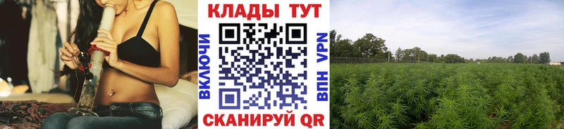Купить наркоту Лебедянь Cocaine  MDMA  блэк спрут   Псилоцибиновые грибы  Кодеин  ГАШ  МАРИХУАНА  A PVP 
