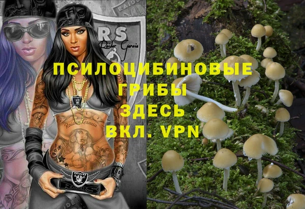 амфетамин Алексин