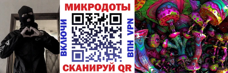 Галлюциногенные грибы Psilocybine cubensis  Лебедянь 