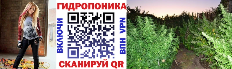 Бошки Шишки индика Лебедянь